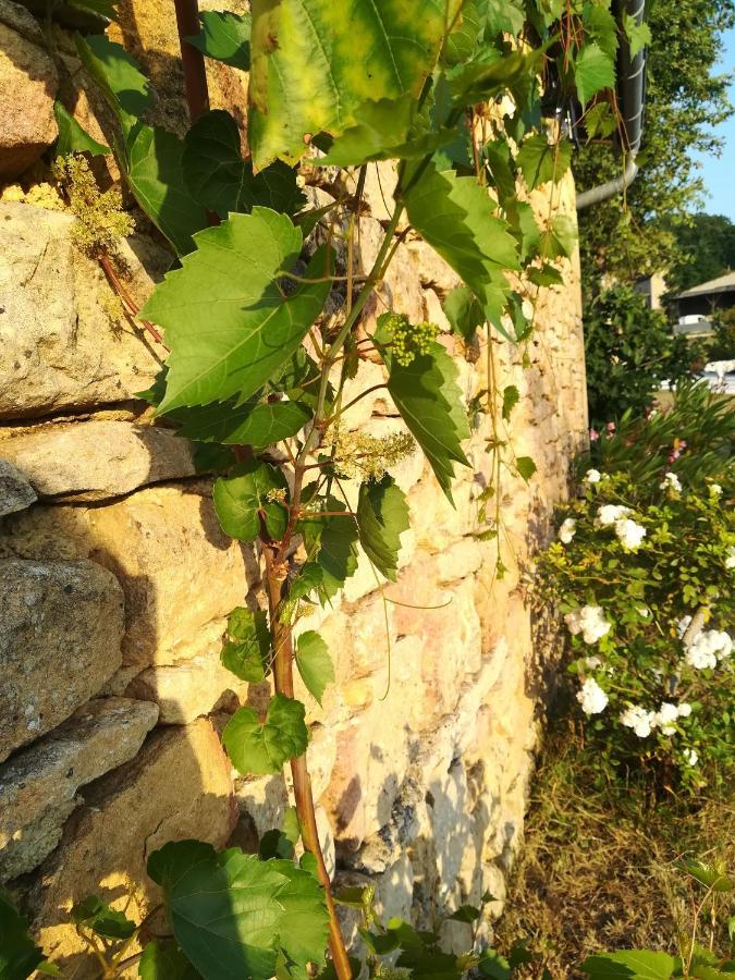 O Reve De Gabriel Bed and Breakfast Saint-Amand-de-Coly Εξωτερικό φωτογραφία