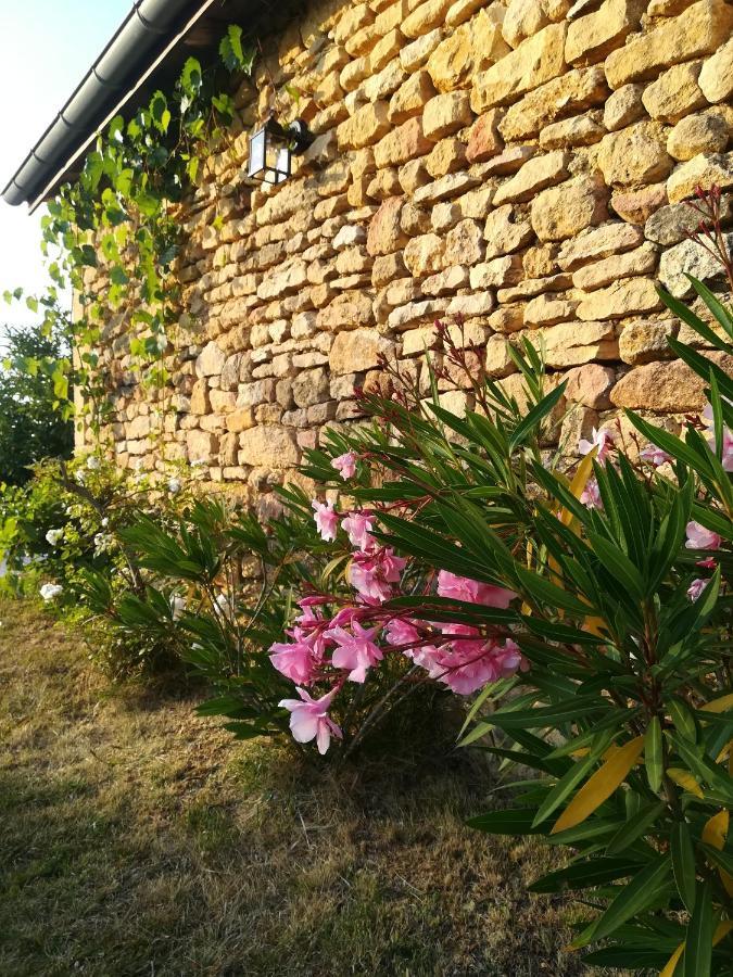 O Reve De Gabriel Bed and Breakfast Saint-Amand-de-Coly Εξωτερικό φωτογραφία