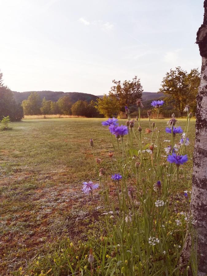 O Reve De Gabriel Bed and Breakfast Saint-Amand-de-Coly Εξωτερικό φωτογραφία