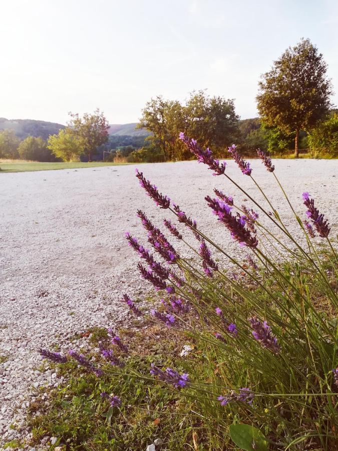 O Reve De Gabriel Bed and Breakfast Saint-Amand-de-Coly Εξωτερικό φωτογραφία